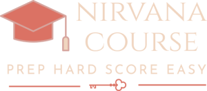 nirvanacourse-logo